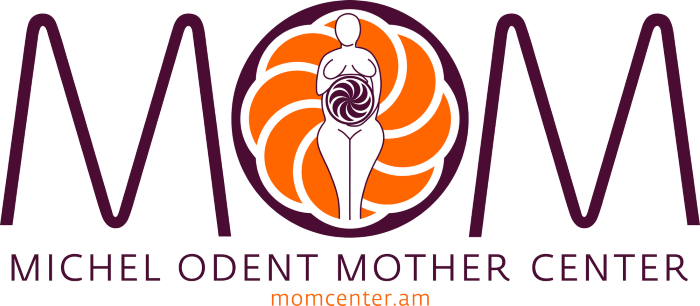 MOMLogoWEBpurple 100kb